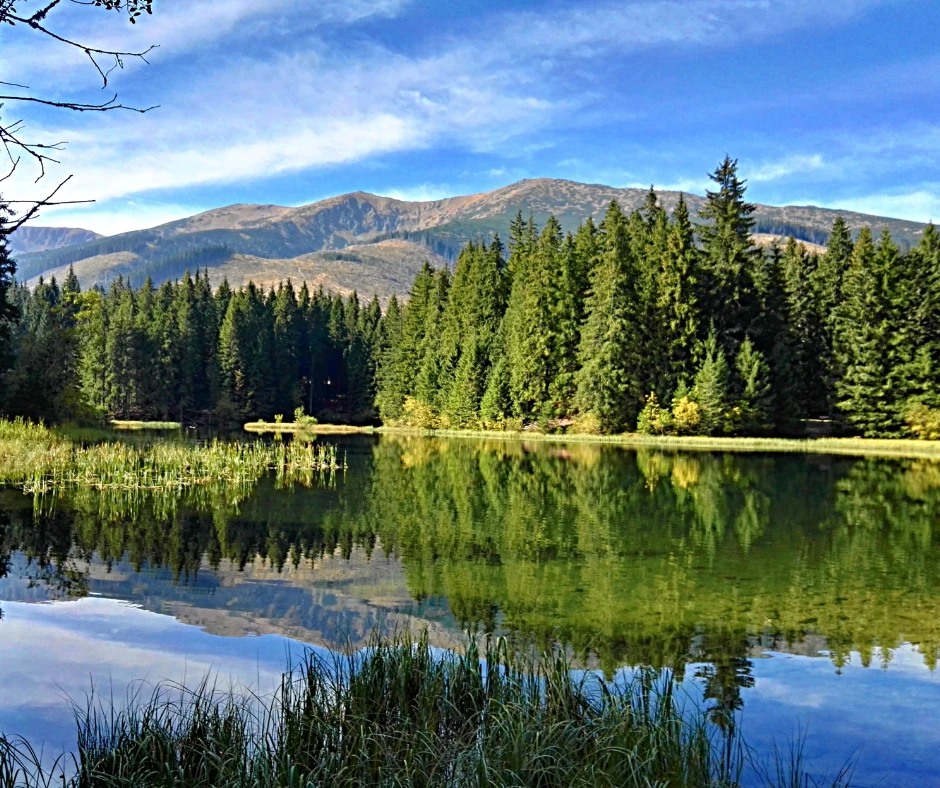 Vrbické pleso
