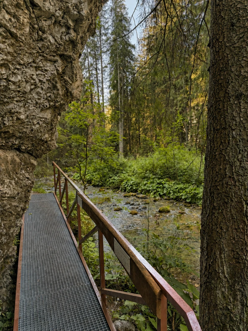 Napriek tomu? Choďte!
A toto chcem zdôrazniť....