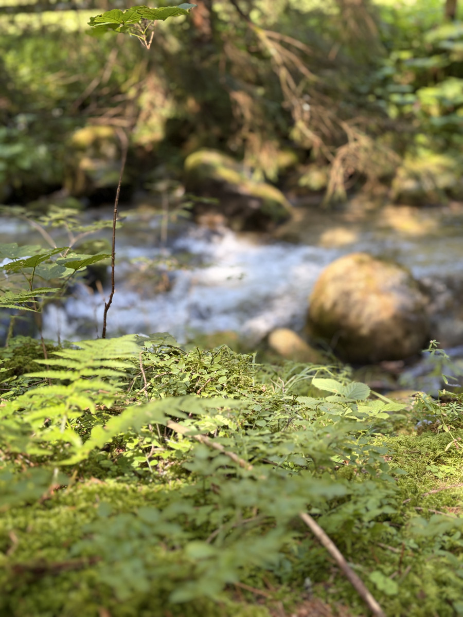 The Story of Water